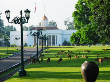 Kebun Raya Bogor (sumber : wikiwisata.com)