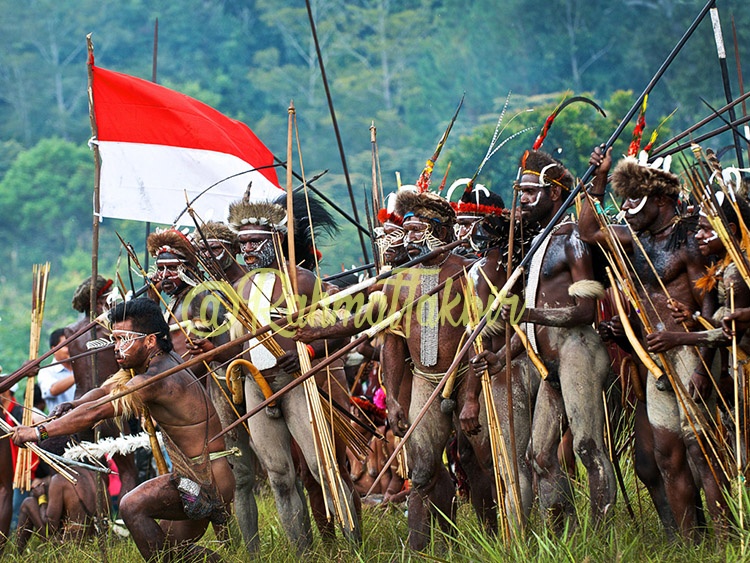 Koteka Papua